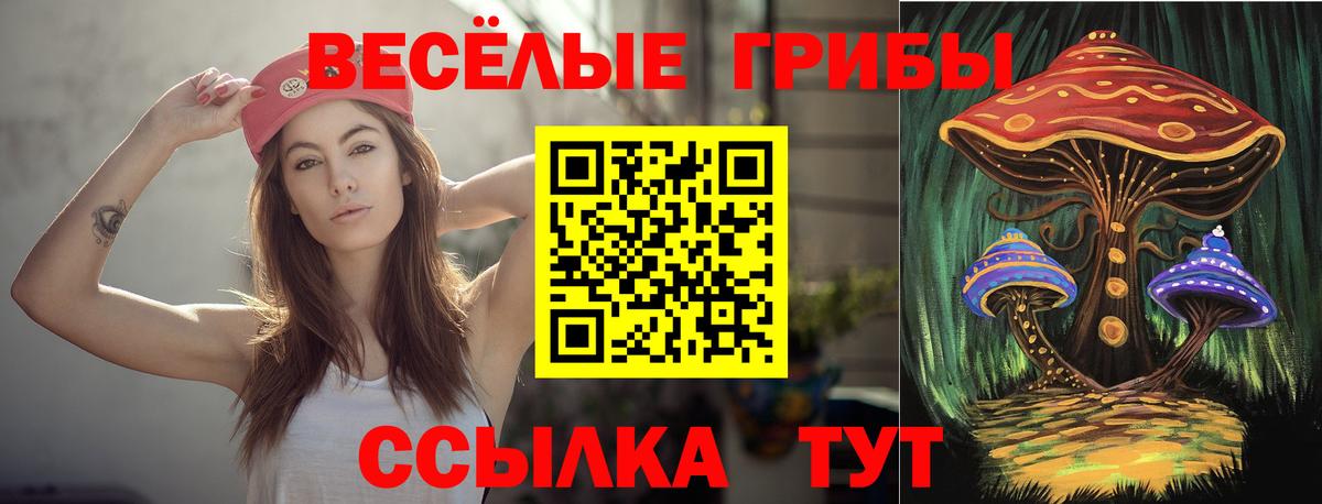 Чапаевск  Псилоцибиновые грибы мухоморы  как найти   Вход с VPN 